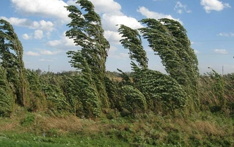 Шквалистый ветер повредил фермы в Волковысском районе