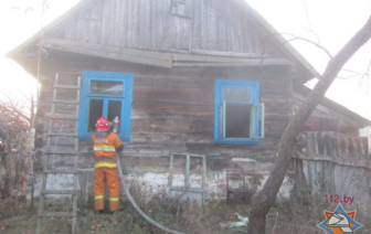 В Личицах при пожаре погиб человек (фото)