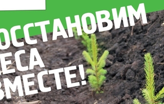 На Волковыщине в акции «Неделя леса» приняло участие более 700 человек