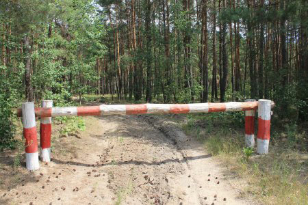 Запрет на посещение лесов может быть установлен в Волковысском районе