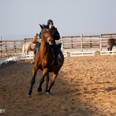 Волковыск, конный спорт