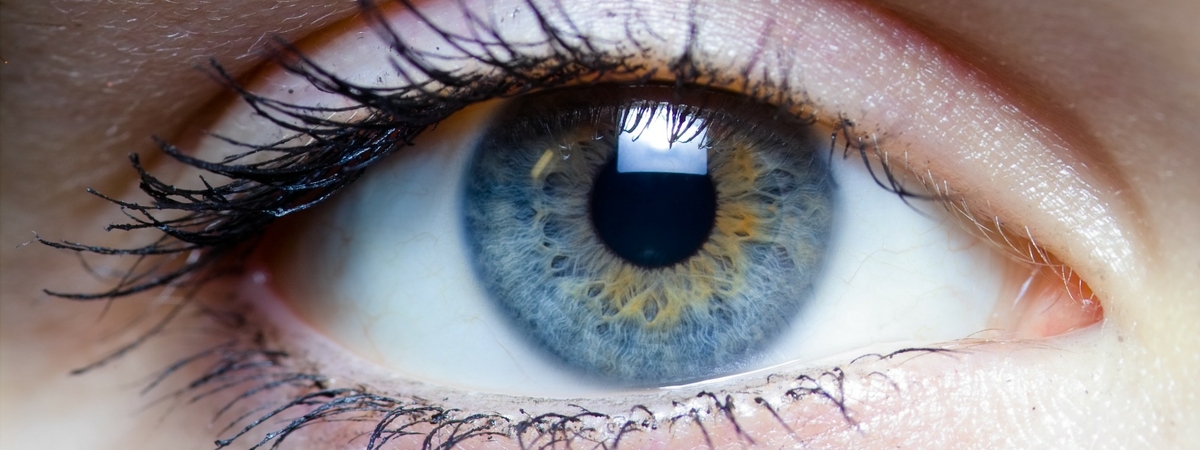 Белки в глазах вызывают опасные заболевания, которые поражают головной мозг — ученые