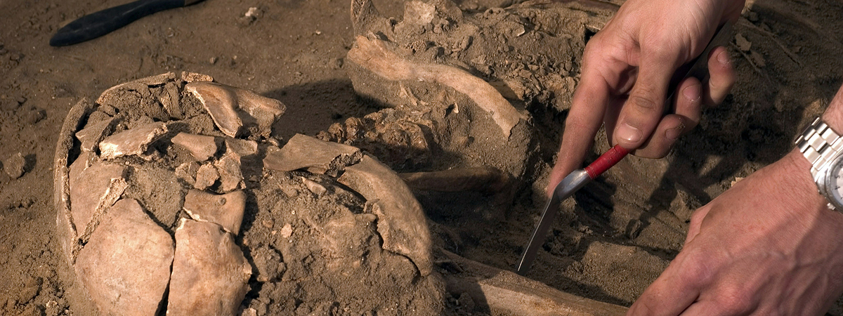 Ученые нашли тайную могилу принцессы кельтов возрастом 2200 лет: идеально сохранилась