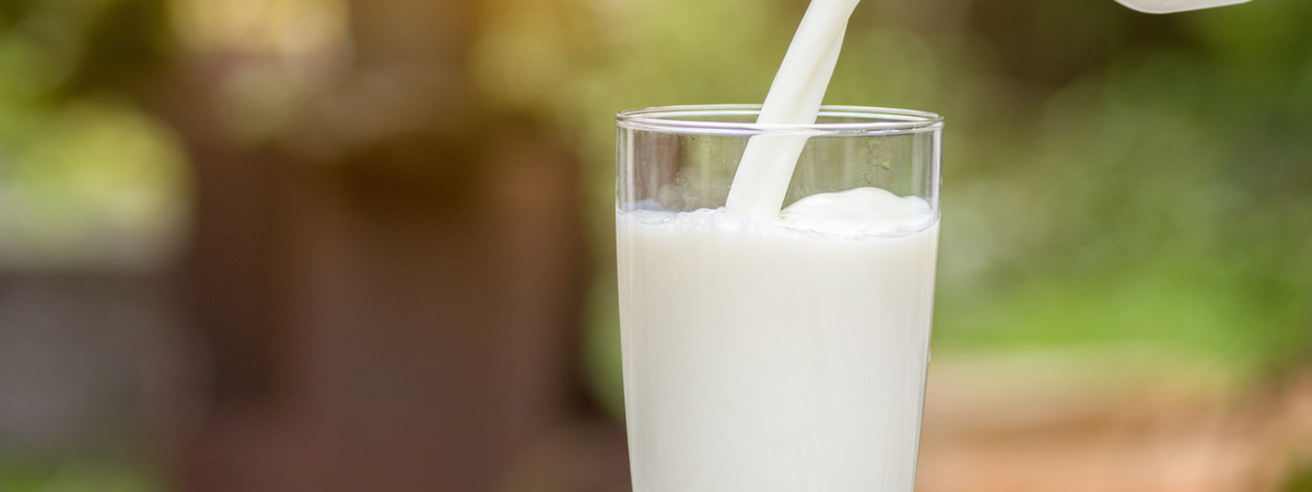 Ученые рассказали о вреде парного молока