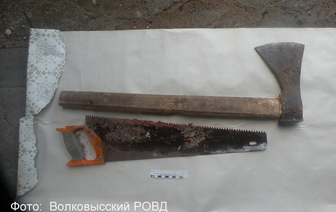 В Волковыске парень убил ножом молодого человека, после чего труп расчленил и закопал в подвале&#8230; (добавлены фото)