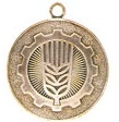 Вадзіцель лясгаса ўзгароджаны медалём