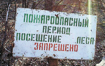 До конца лета запрещено пребывание граждан в лесах Волковыщины