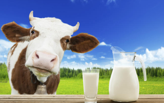 Какими не менее полезными продуктами можно заменить коровье молоко
