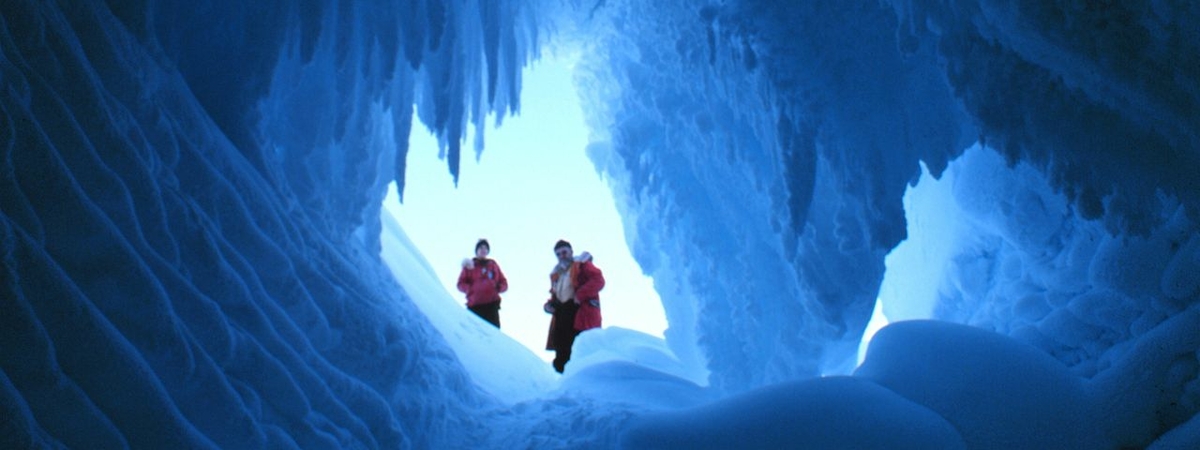 Ученые нашли пещеры с неизвестными животными в Антарктиде: температура +25 – это невероятно!