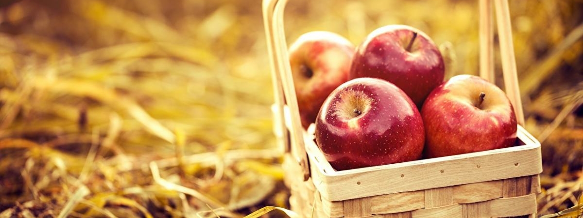 Яблочный Спас: что сделать, чтобы получить желаемое
