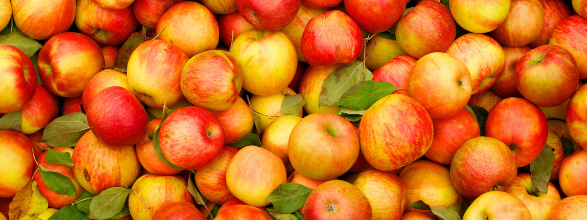 Яблоки нужно есть правильно: как потреблять фрукт с максимумом пользы