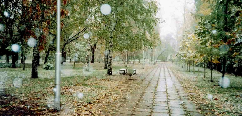 Синоптики прогнозируют первый снег в Беларуси уже в эти выходные