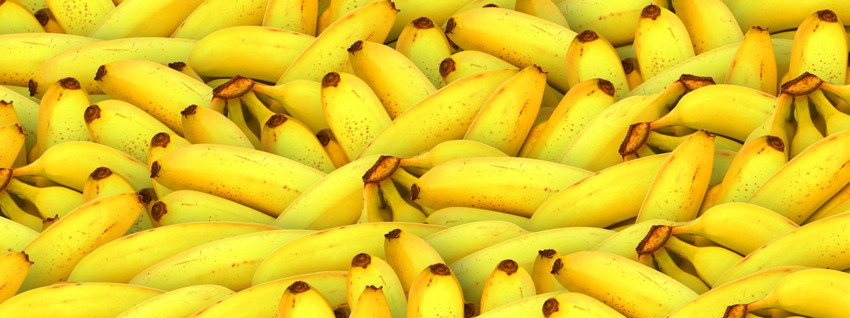 Эквадорское чудо: Диетологи назвали преимущества мини-бананов