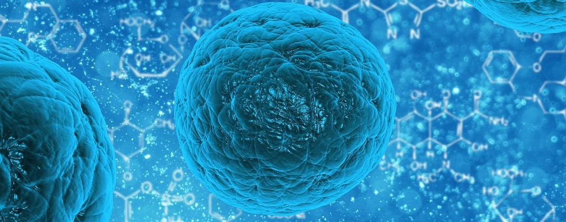 От пустышки до опухоли: Почему нельзя омолодиться стволовыми клетками признались учёные