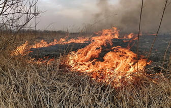 В Мостовском районе из-за палов травы сгорело 5 домов и 17 хозпостроек