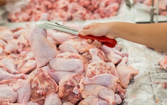 8 советов, как выбрать свежую курятину без химии