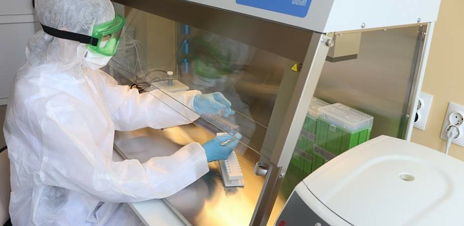 Лаборатория ПЦР-диагностики, которая готовится к открытию в Волковыске, будет работать по выявлению коронавируса