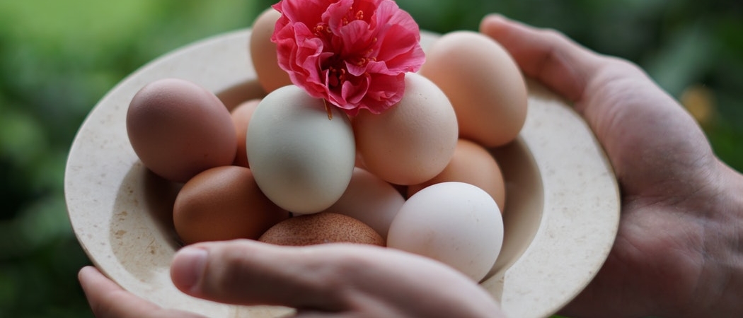 Сколько яиц можно есть в неделю: мнения специалистов разделились