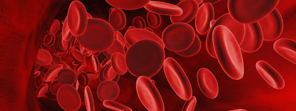 Откровения врача: как мы уничтожаем свою кровь?