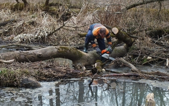 В честь Всемирного дня водных ресурсов волонтеры очистили Росский парк (ФОТО)