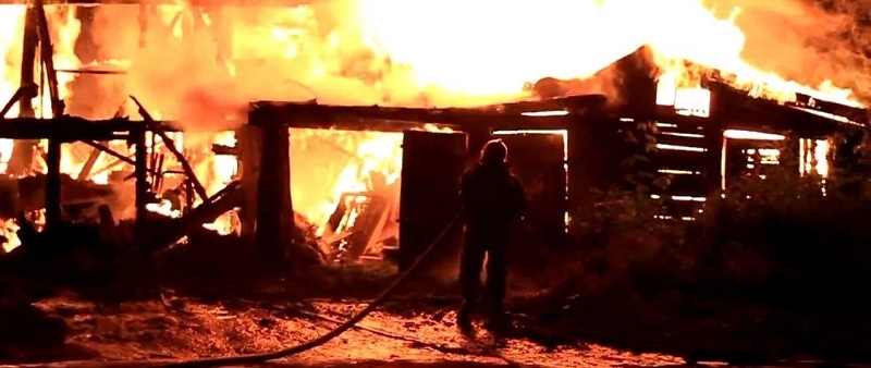 В Даниловцах сгорел сарай