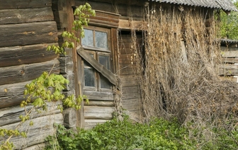 Где в Волковысском районе можно купить пустующие дома за одну базовую
