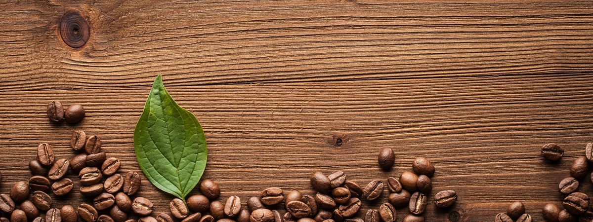 Замена жвачке без риска рака: Кофейные зёрна можно есть без заварки