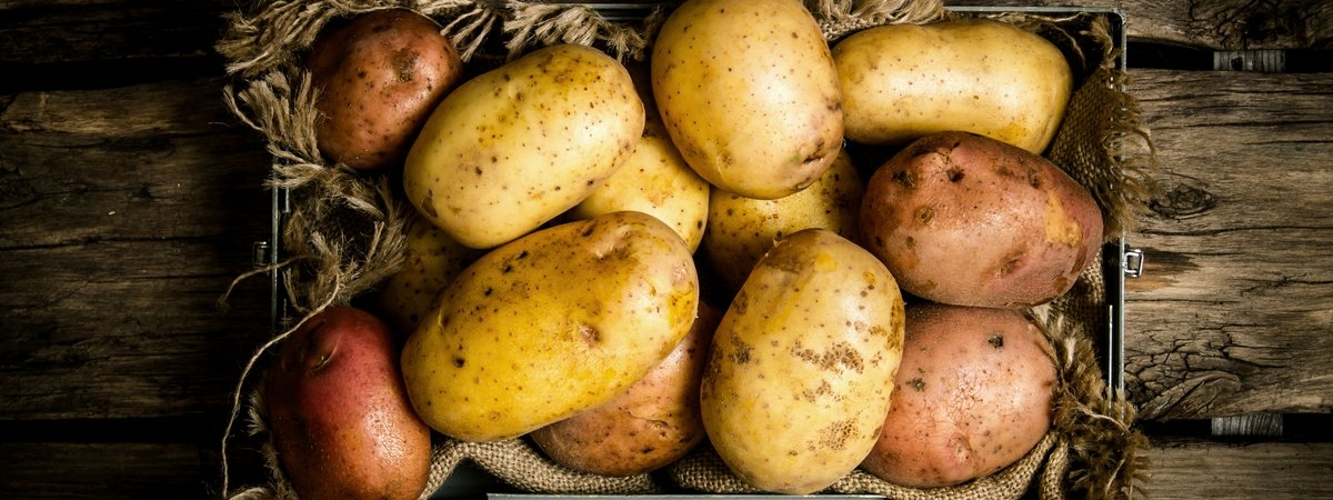 Чем опасен картофель: овощ входит в список вредных для здоровья продуктов