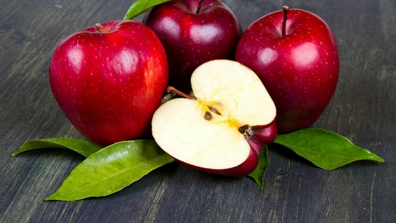 Медики сообщили, чем опасны семена яблок