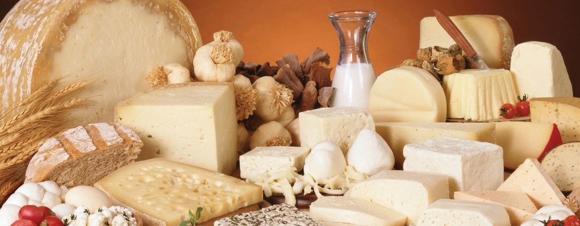 Названы сорта сыров, которые помогут сбросить вес