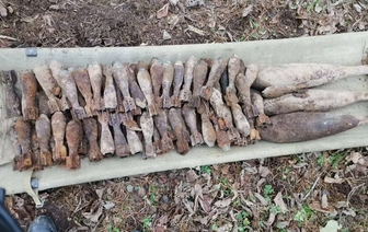 В Замковом лесу под Волковыском обнаружены боеприпасы времен Второй мировой войны