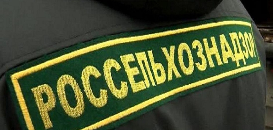 Россельхознадзор запретил ввоз в Россию продукции «Беллакт»