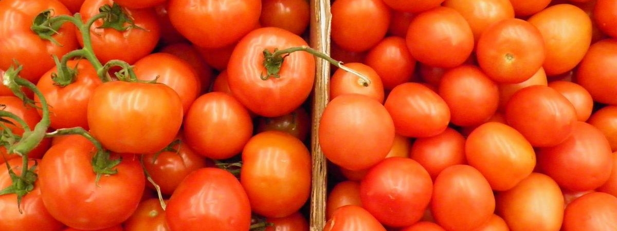 Россельхознадзор запретил ввоз томатов и перцев из Гродненской области