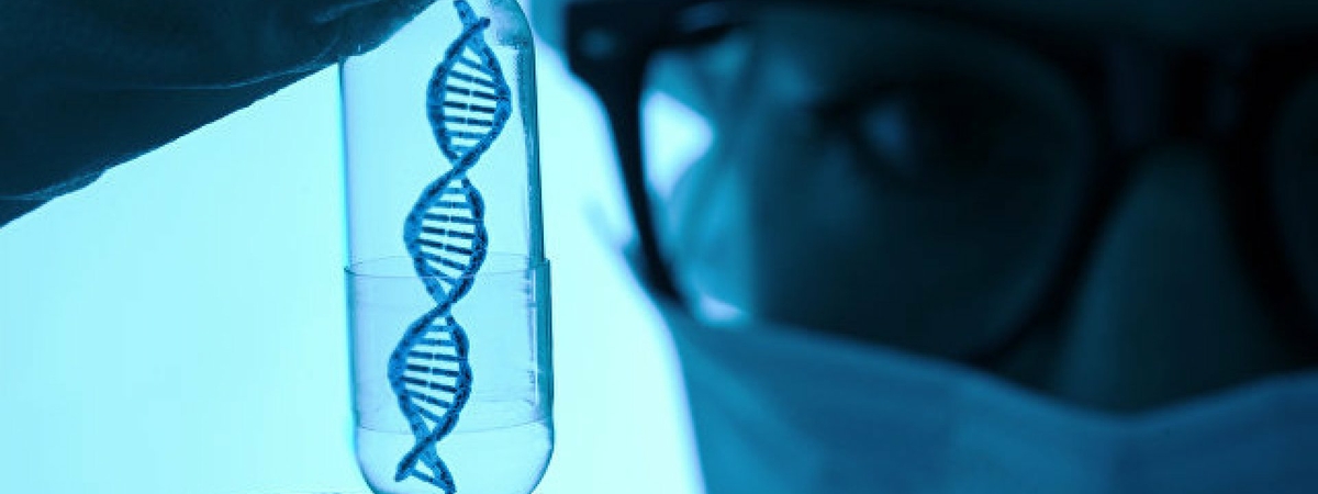 Найдены гены, которые работают после смерти человека