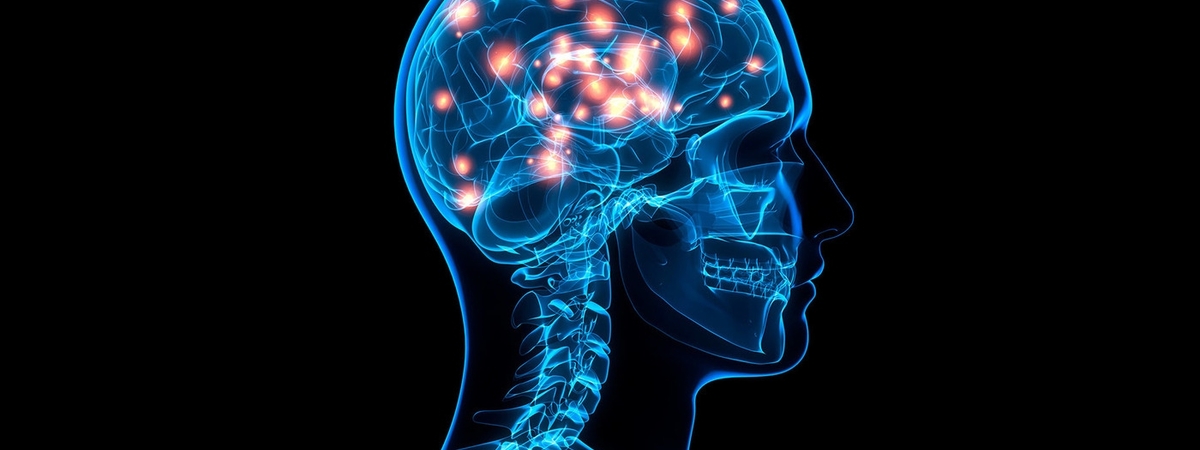 Точка G головного мозга: 3 упражнения, которые помогут улучшить память и внимание