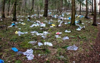 В Беларуси планируется декриминализовать ответственность за загрязнение леса и ввести уголовную ответственность за незаконную рубку в особо крупном размере