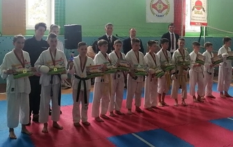 Успешно выступили воспитанники волковысских клубов на соревнованиях по шотокан каратэ-до «Беловежская весна 2022»