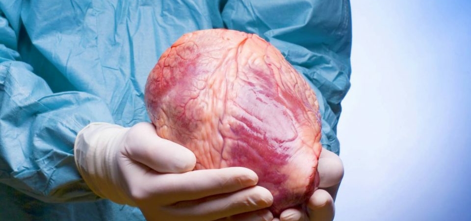 50 лет первой в мире трансплантации сердца. История, которая перевернула весь мир