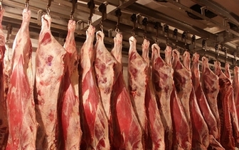 Колькі зарабляе на мясе Ваўкавыскі мясакамбінат?