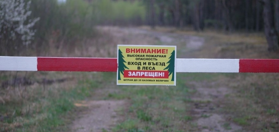 Посещение лесов ограничено в Волковысском районе