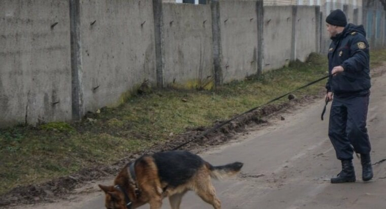 По горячим следам В Волковыске служебнорозыскная собака поймала вора