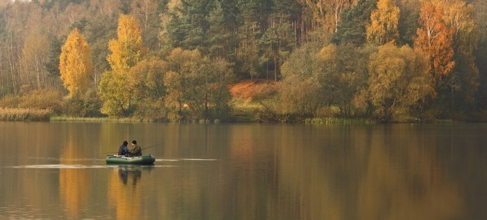 С 1 ноября в Беларуси за лов двух видов рыб ждет серьезный штраф