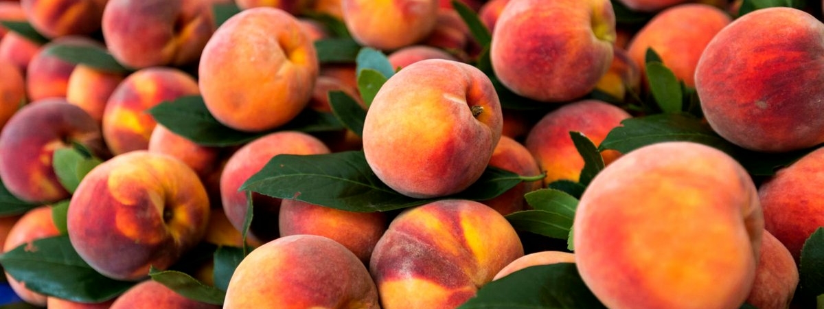 Ученые выяснили, что употребление персиков может привести к серьезной болезни