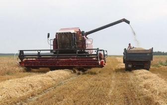 В Беларуси намолочено более 3 млн тонн зерна