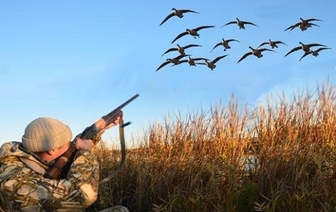Открывается летне-осенний сезон охоты на гуся