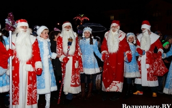 Деды Морозы и Снегурочки зажгли главную елку Волковыска (ФОТО)