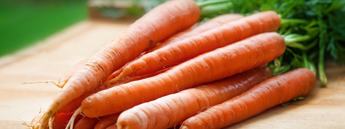 Морковка для рака винтовка: Как корнеплод «убивает» онкологию