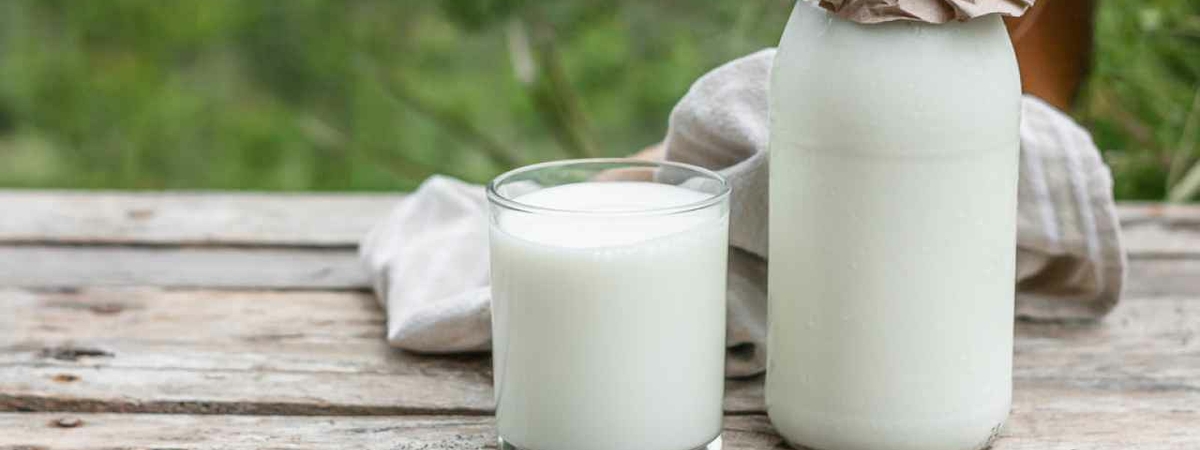 Такое ли полезное, как думаем: когда молоко вредит здоровью