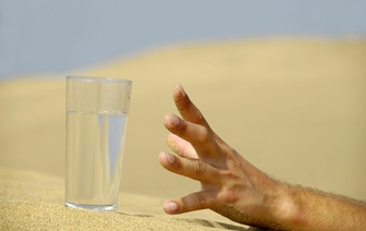 Органы, которые больше всего страдают от недостатка воды в организме