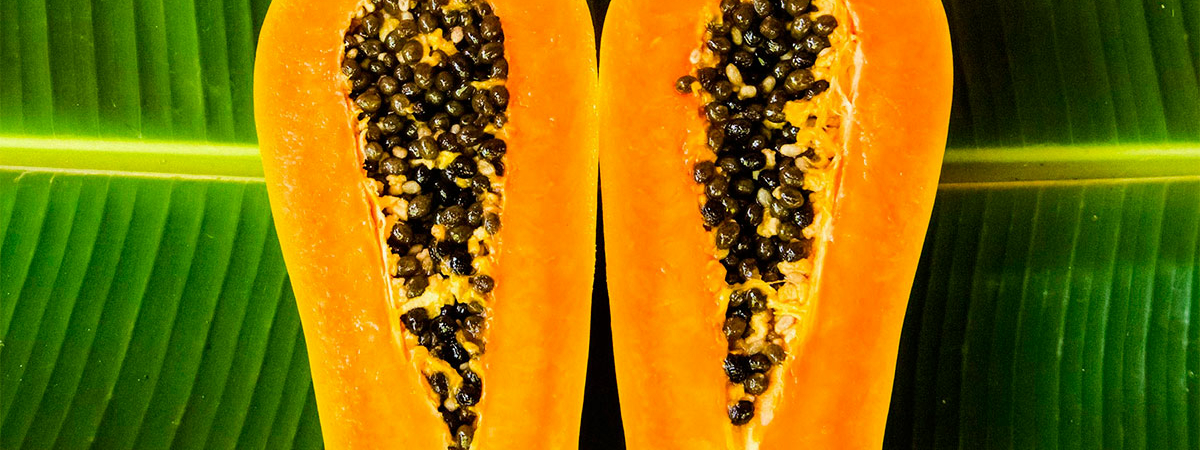 И рак больше не страшен: Простой рецепт из папайи оградит от заразы
